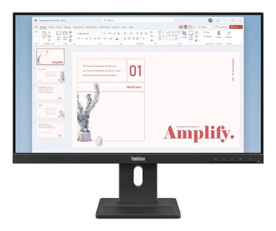 Lenovo ThinkVision E24-40 Monitor — Monitores
